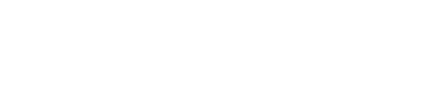 Evolution Brand Logo 1