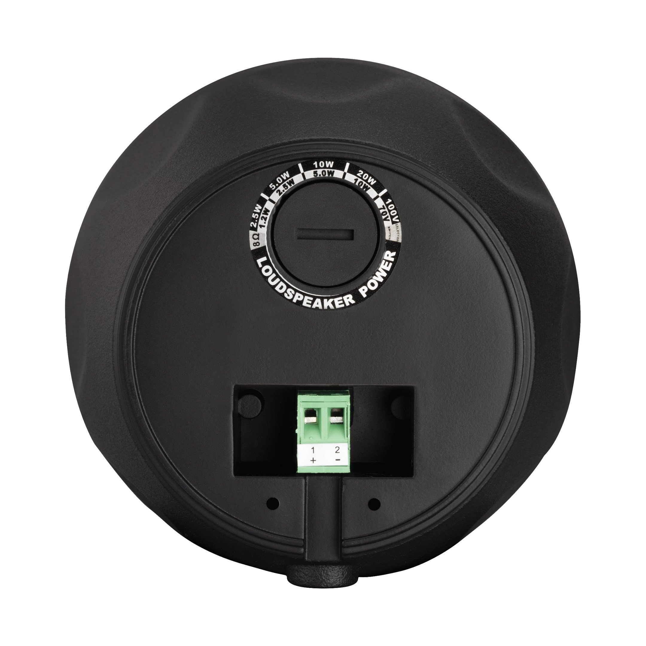 Wp4v Bsc Back