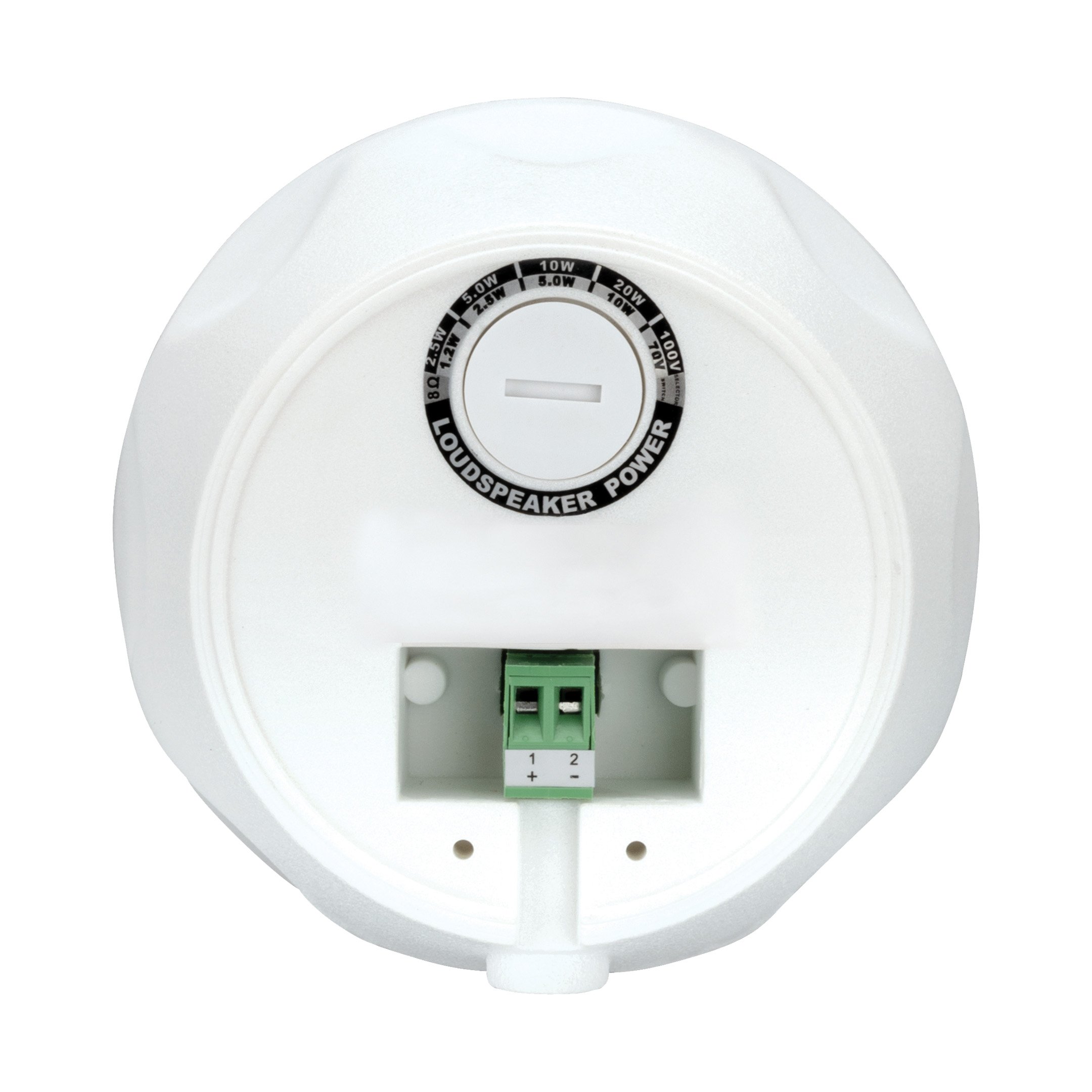 Wp4vw Bsc Back