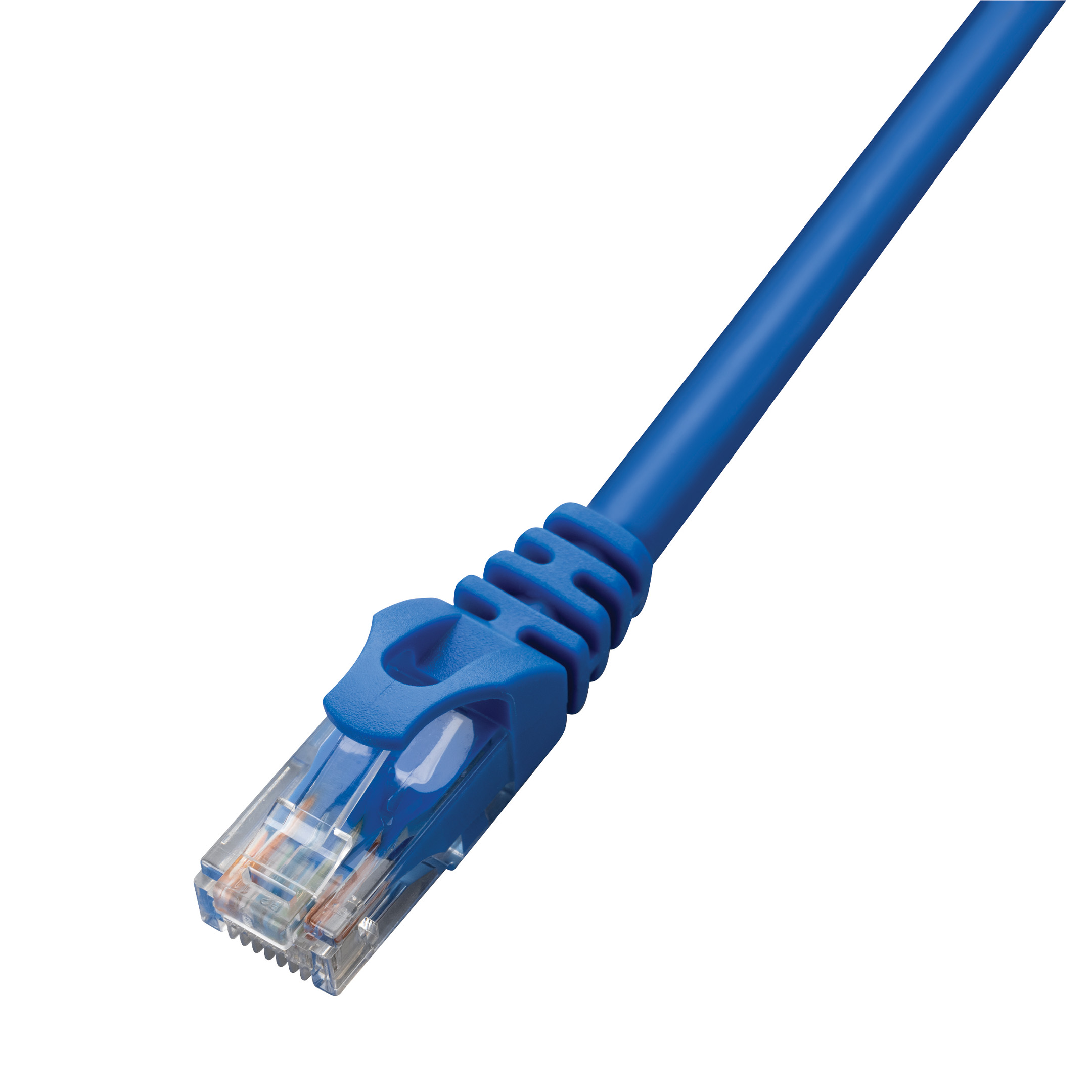 Cat6 Blue