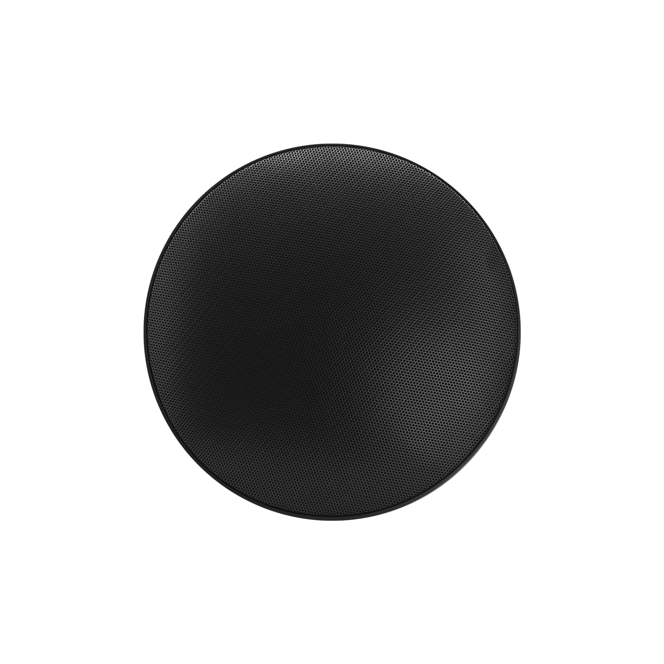 WP8V-BSC-grill 8" On Wall/pendant Speaker
